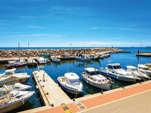 Beautiful holiday home in Roquetas de Mar by the sea في روكويتاس دي مار: رسو بعض القوارب في الميناء