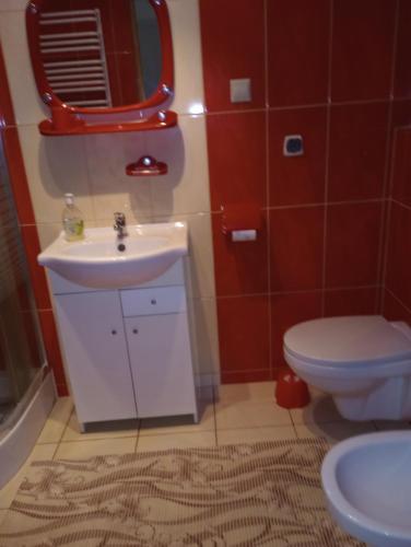 a bathroom with a sink and a toilet and a mirror at Maja in Szydłów