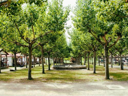 a park with a fountain in the middle of trees at Rustic Mountain Retreat in La Puebla de Roda