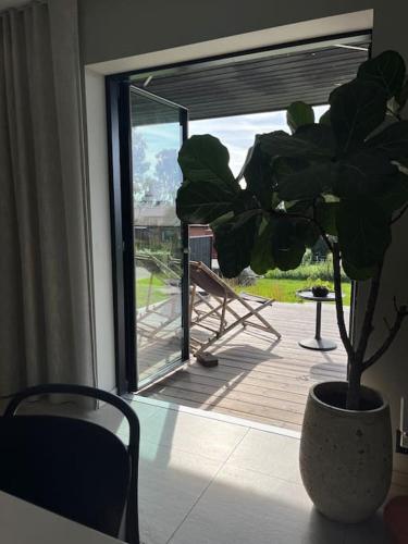Κήπος έξω από το Hus/stuga i Fammarp, Ringenäs