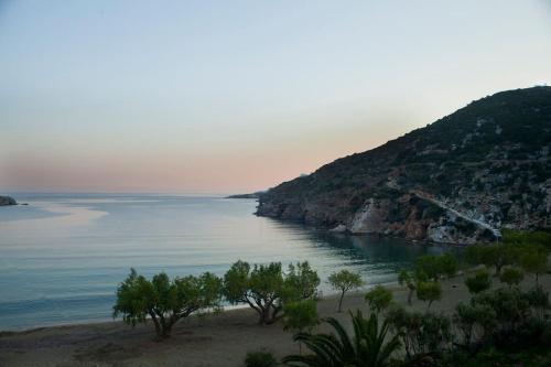 a beach with trees in front of a body of water at Ammos 2 - Seafront maisonette, Glyfo beach, Sifnos in Chrisopigi