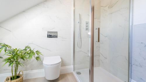 a bathroom with a shower and a toilet at Penrhyn Isaf Dau in Aberffraw