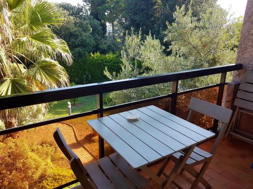 Appartement confortable a Nice 25 m² avec piscine partagee