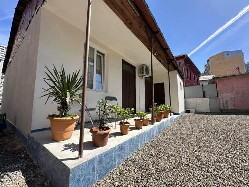 a row of potted plants sitting outside of a building at your home in Batumi in Batumi