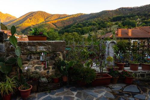 a group of potted plants on a stone wall with mountains at Posada Villa Matilde in Cillorigo de Liebana