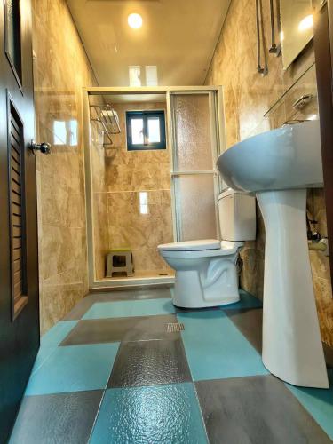 a bathroom with a toilet and a sink at B&B of Blueshine in Beigan