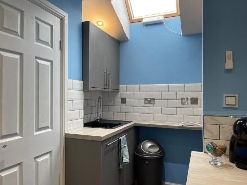 a kitchen with a sink and blue walls and a door at Cosy Studio in Heart of London in London