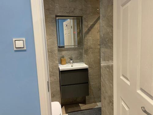 La salle de bains est pourvue d'un lavabo et d'un miroir. dans l'établissement Cosy Studio in Heart of London, à Londres