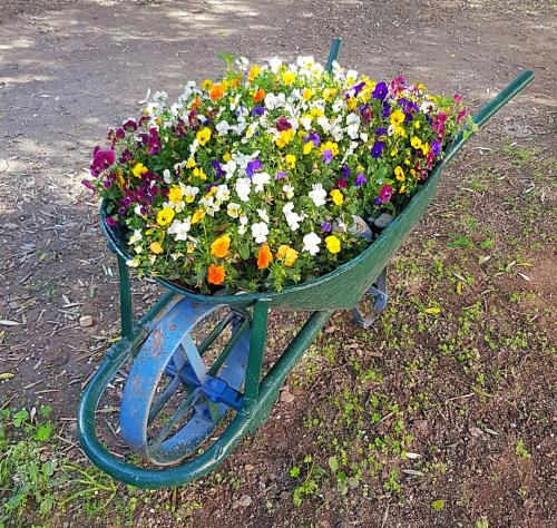 a wheelbarrow filled with flowers on the ground at Bibi a Mare in Finale Ligure