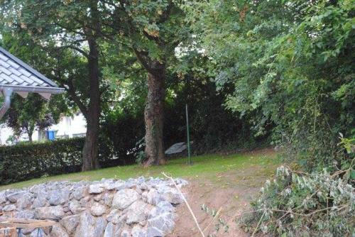 a park with trees and a stone wall at Ferienhaus Ronja in Hemfurth-Edersee