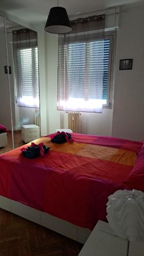 Sunny's House