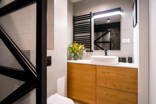 W łazience znajduje się umywalka i lustro. w obiekcie Podhalańskie Uroki by Apart Concept Podhale w mieście Kościelisko