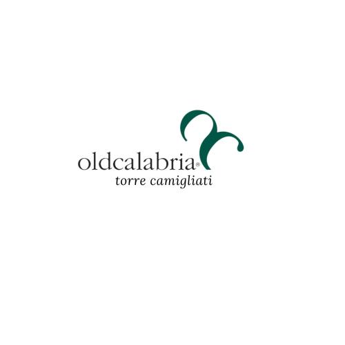 a logo for an onlinecommercecommercecommercecommerce company at Torre Camigliati Dimora Storica in Camigliatello Silano
