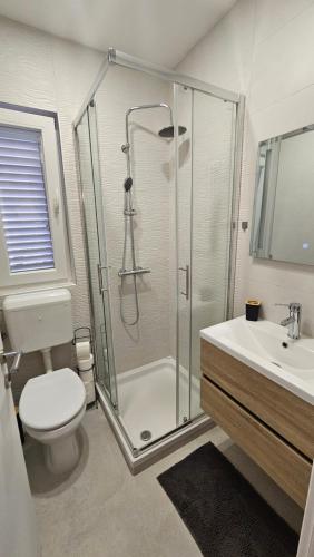 a bathroom with a shower and a toilet and a sink at Lopar Lidija in Lopar