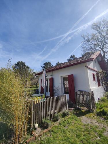 D&D, La maison des écureuils