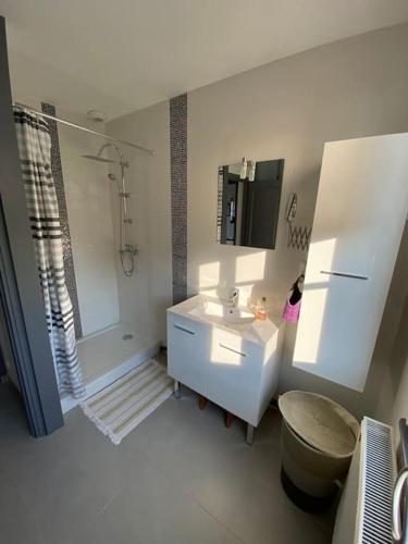 une salle de bain blanche avec un lavabo et une douche dans l'établissement Aux couleurs de la Baie à Sailly-Bray, à Noyelles-sur-Mer