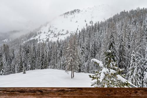a snow covered forest with a mountain in the background at Samont Appartment 5 in Arabba