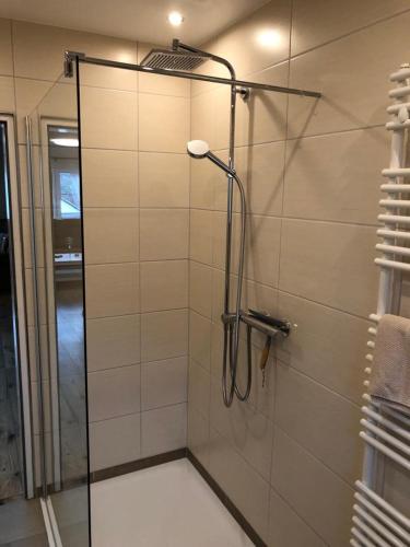 eine Dusche mit Glastür im Badezimmer in der Unterkunft Haus Cornelia in Einruhr
