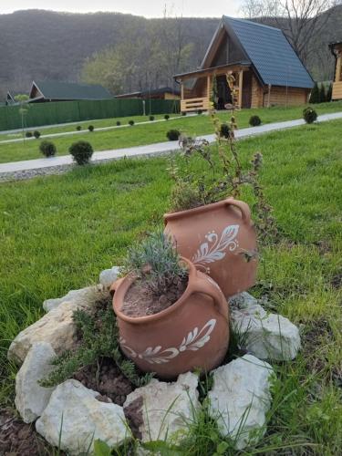 una olla sentada en una roca con plantas en ella en Sicevacka Bajka, en Niš