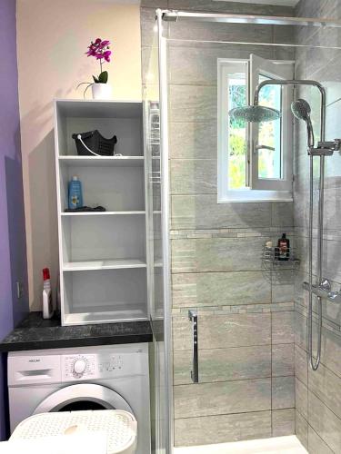 une salle de bain avec douche et machine à laver dans l'établissement Maison charmante à San-Nicolao 55 m² avec piscine partagée, à San-Nicolao