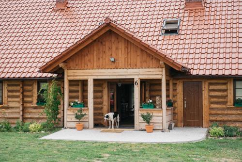 a dog standing in the doorway of a wooden house at Dom Gościnny Sowia Stópka in Miłomłyn