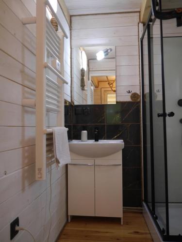 W łazience znajduje się umywalka i lustro. w obiekcie Dziedziniec Karkonoszy w mieście Podgórzyn