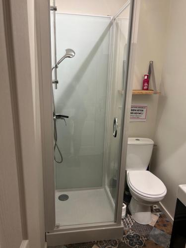 une cabine de douche dans une salle de bain avec toilettes dans l'établissement Chambre 2, à Oudon