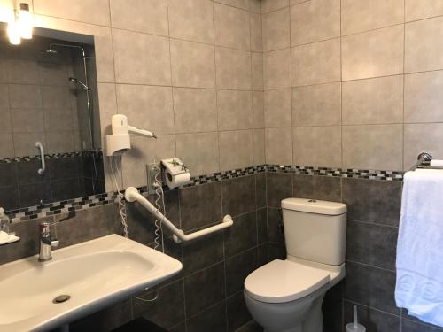 a bathroom with a toilet and a sink at Logis - Hôtel & Restaurant Moulin Des Forges in Saint-Omer-en-Chaussée