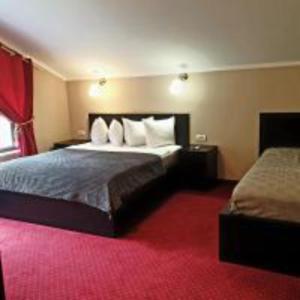 a hotel room with a bed and a red carpet at Pensiunea Decebal Resort - Cazanele Dunarii in Dubova