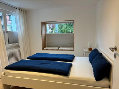 a bedroom with two beds with blue pillows and a window at Wick Home Apartment 1 in Burgheim