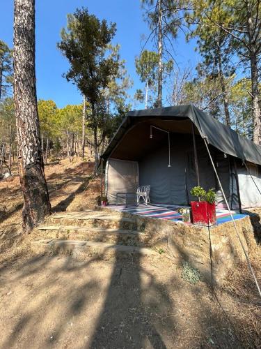 a tent in the woods with a chair in it at Glampinn Woods in Nainital