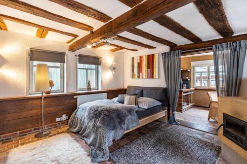 a bedroom with a bed and a fireplace at Ferienwohnung in der Dorfstrasse in Groß-Umstadt