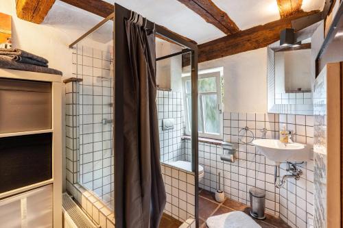 La salle de bains est pourvue d'une douche et d'un lavabo. dans l'établissement Ferienwohnung in der Dorfstrasse, à Groß-Umstadt