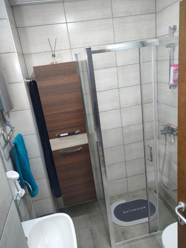 a bathroom with a shower and a toilet and a sink at Apartment Tropical - Aqua Park Jagodina in Jagodina
