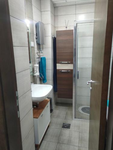 a small bathroom with a sink and a shower at Apartment Tropical - Aqua Park Jagodina in Jagodina
