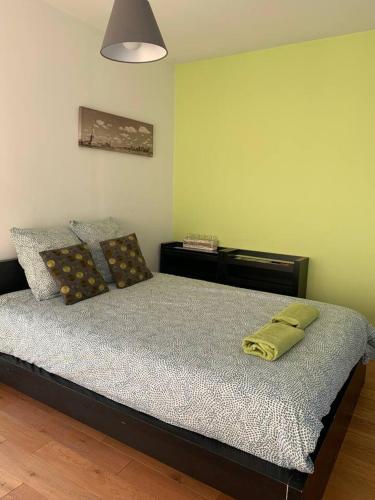 - une chambre dotée d'un lit avec un oreiller vert dans l'établissement Bel appartement à Marseille 70 m² avec terrasse privée, à Marseille