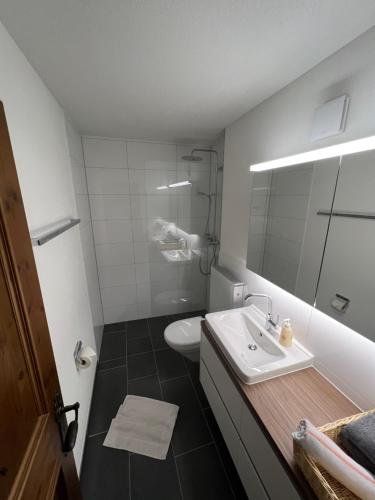 ein Badezimmer mit Waschbecken, Toilette und Spiegel in der Unterkunft Gemütliche Wohnung in Seelisberg in Seelisberg