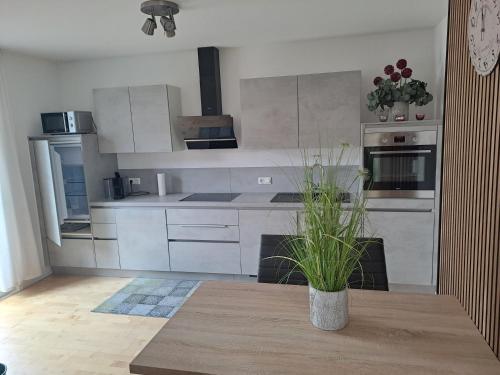 a kitchen with white cabinets and a table with a plant at Schöne Ferienwohnung in Feldkirch