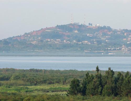 Un paisaje natural cerca de la casa de huéspedes