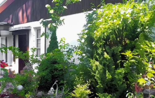 Ein weißes Haus mit einem Haufen grüner Pflanzen in der Unterkunft 1 Bedroom Lovely Home In Mahlow in Mahlow