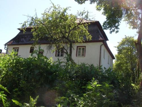 una casa blanca rodeada de árboles y arbustos en Tolles Ferienhaus in Presseck mit Grill und Garten en Presseck