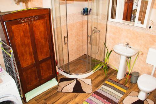 a bathroom with a shower and a sink at Country House Ivančan in Molve