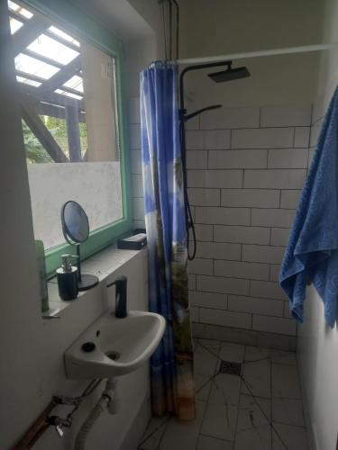 a bathroom with a sink and a shower with a window at U Roberta in Czaniec