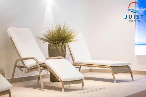 a group of chairs and a potted plant at Haus Inselresidenz Strandburg 301 - Wohnung 101 in Juist