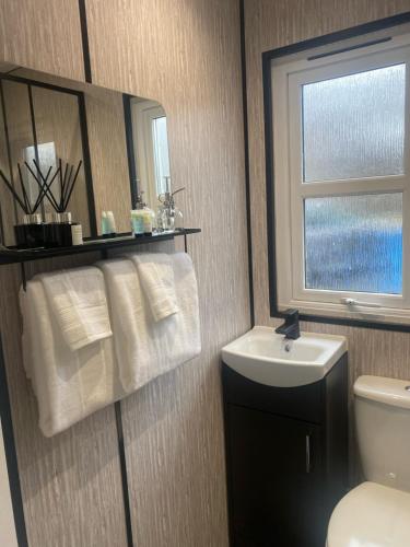 a bathroom with a sink and a toilet and a window at Devon River Glamping Pods in Alloa