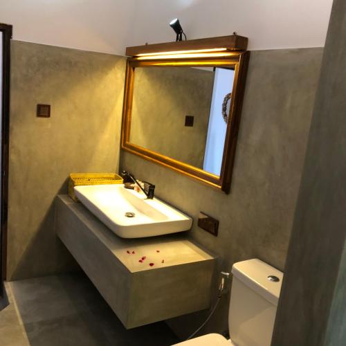a bathroom with a sink and a mirror and a toilet at Eagle View villa in Ella