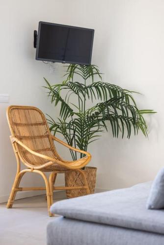 a chair and a plant in a room with a tv at Effe's apartment- ARYA seaview -parcheggio gratuito in Alassio