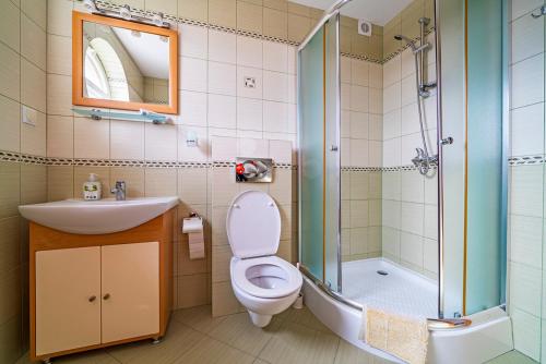 a bathroom with a toilet and a sink and a shower at Jeżynowa 30 in Jastarnia