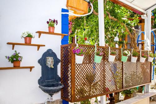 Zahrada ubytování MERVE BUTİK OTEL