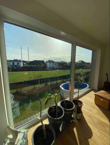 a room with a window with three potted plants at Zimmer am Bachlauf in Gelsenkirchen